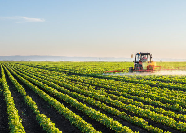 Tracteur arrosant des cultures dans une ferme