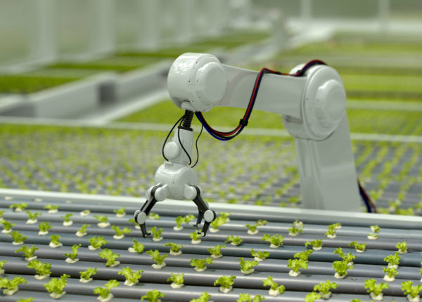 Bras robotisé manipulant des plantes sur une chaîne de montage